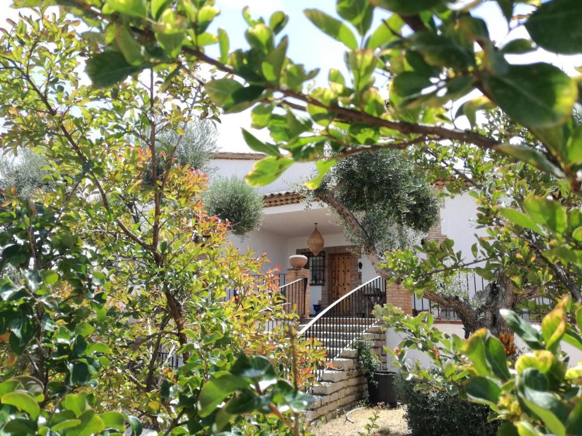 فيلا Burguillos de Toledoفي Casa Rural La Amistad المظهر الخارجي الصورة