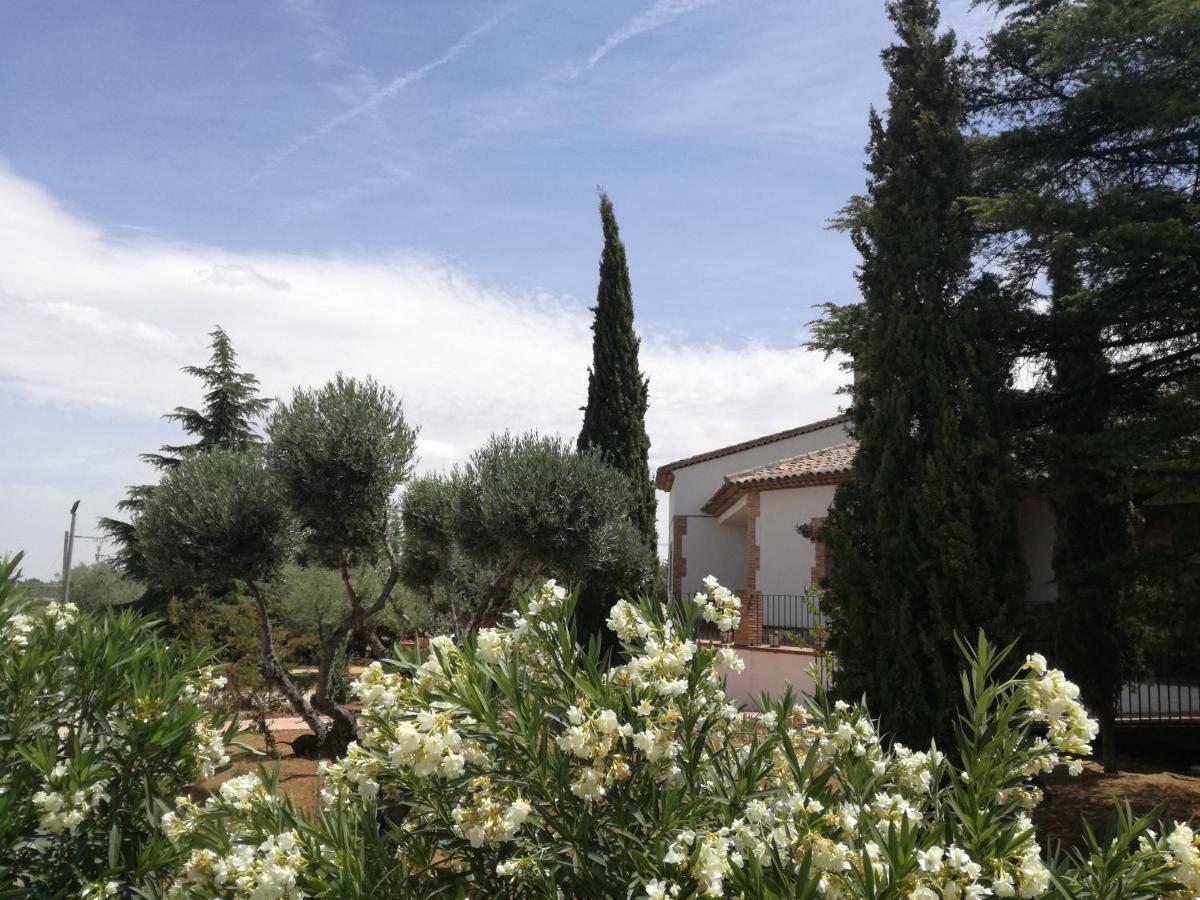 فيلا Burguillos de Toledoفي Casa Rural La Amistad المظهر الخارجي الصورة
