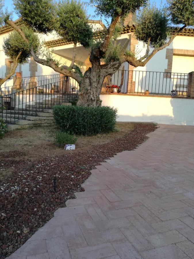 فيلا Burguillos de Toledoفي Casa Rural La Amistad المظهر الخارجي الصورة
