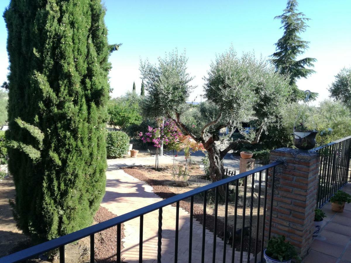 فيلا Burguillos de Toledoفي Casa Rural La Amistad المظهر الخارجي الصورة