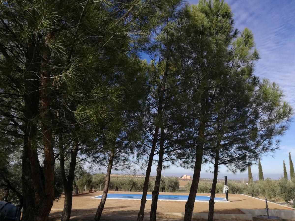 فيلا Burguillos de Toledoفي Casa Rural La Amistad المظهر الخارجي الصورة